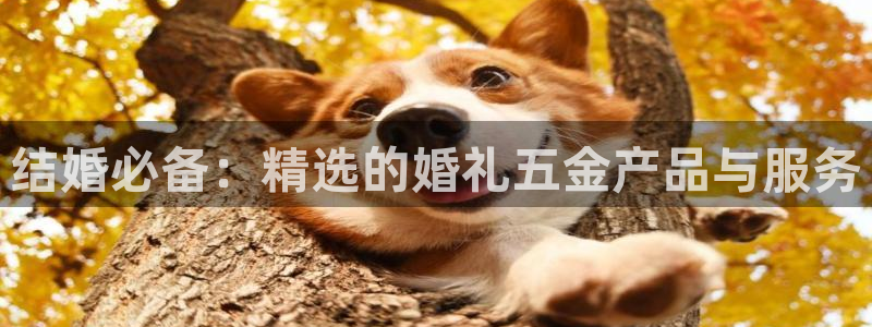 琳琅满目的娱乐设施