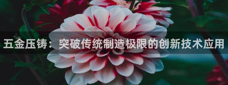 琳琅娱乐组飞车