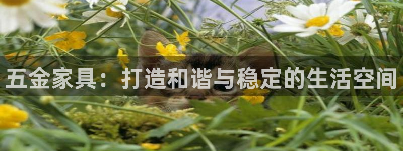 琳琅娱乐主管