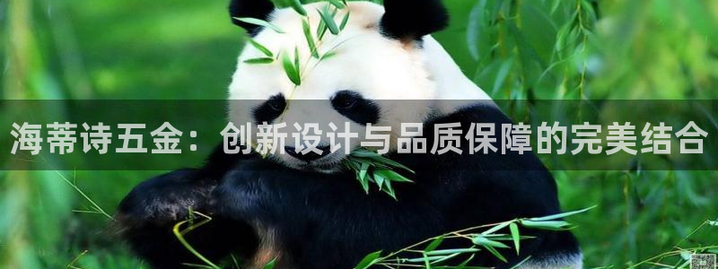 琳琅娱乐工作室