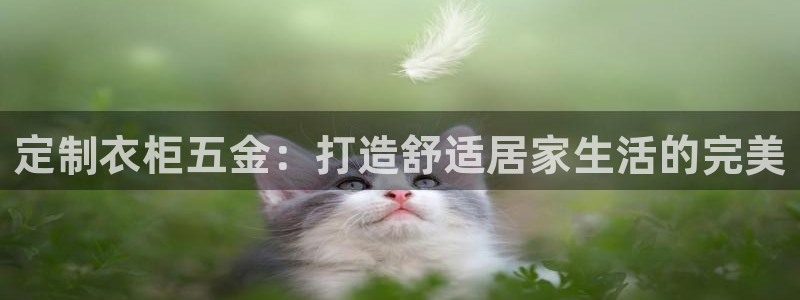 琳琅科技qq娱乐机器人