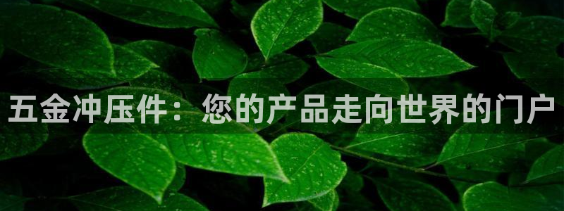 娱乐从琳琅榜开始
