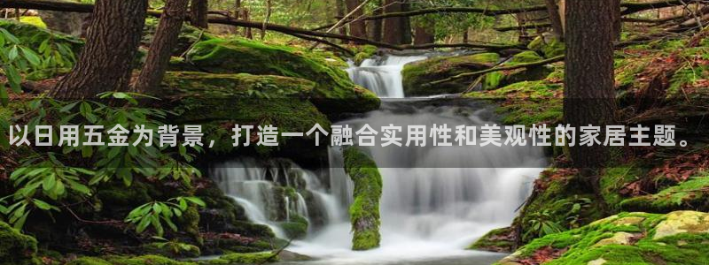 琳琅娱乐组飞车
