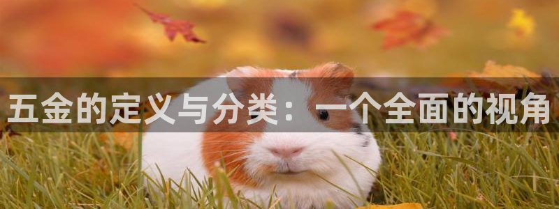琳琅娱乐周7O777