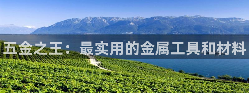 琳琅社区文艺娱乐