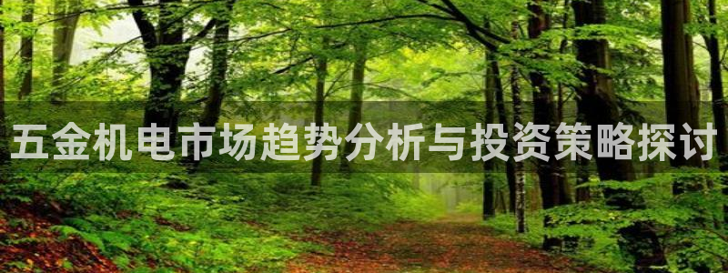 琅琳琅娱乐