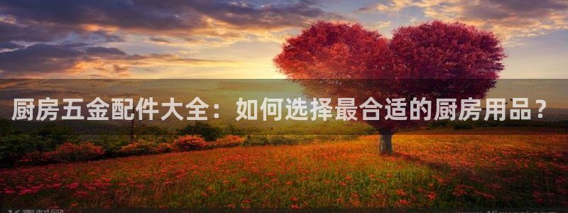 琳琅娱乐 全麦优质
