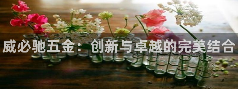 琳琅社区文艺娱乐