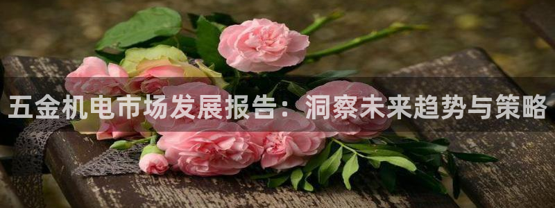 琳琅科技娱乐