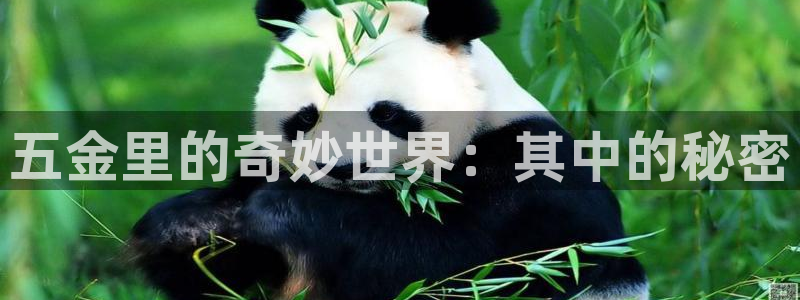 娱乐从琳琅榜开始