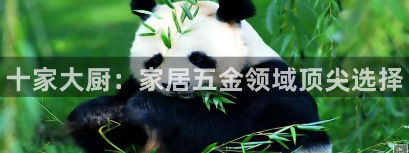 琳琅娱乐平台怎么样啊