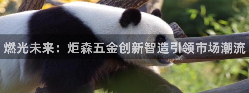 杭州琳琅互动娱乐