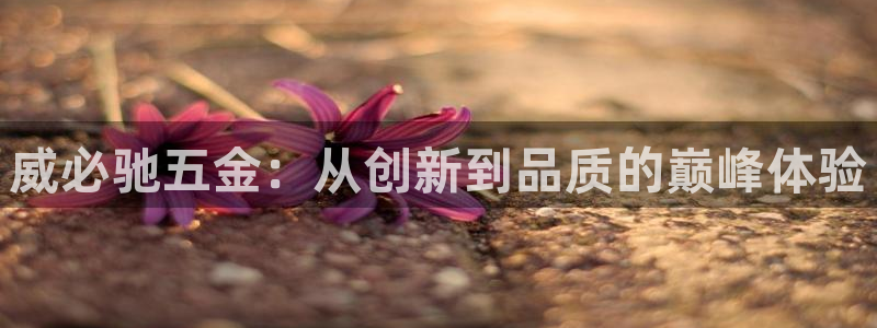 琳琅娱乐工作室招聘电话