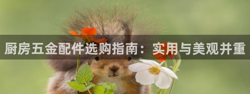 琳琅娱乐APP下载