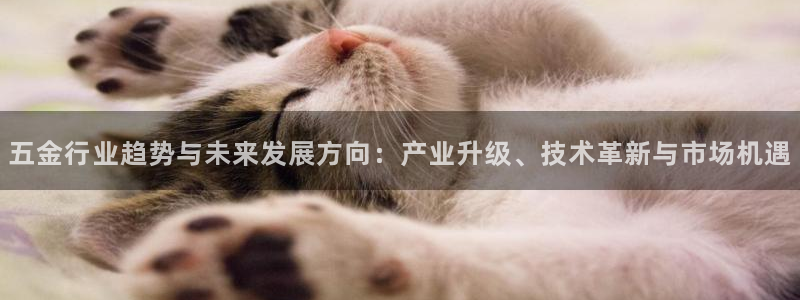 琳琅偏爱娱乐