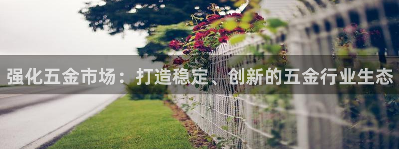 琳琅说娱乐