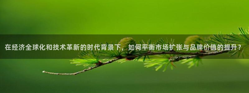 娱乐从琳琅榜开始的小说