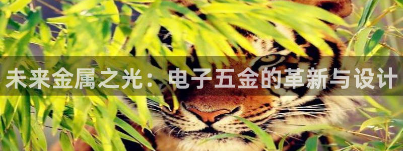 琳琅娱乐登入