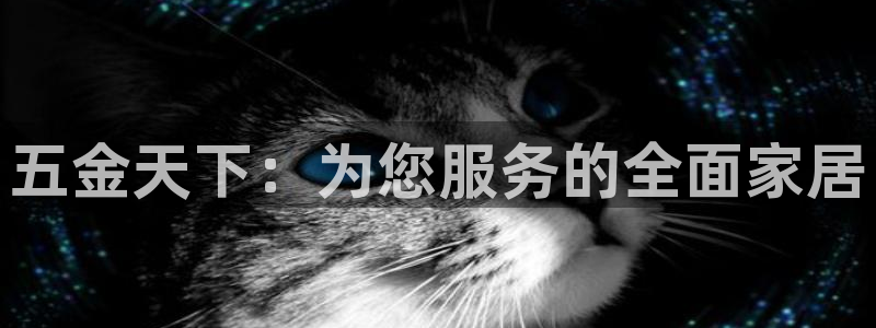 琳琅娱乐工作室地址查询