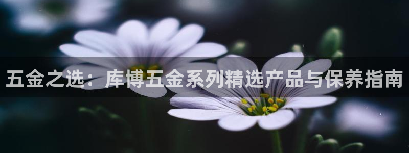琳琅游戏娱乐