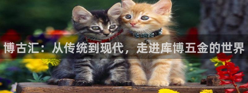 琳琅科技娱乐机器人插件