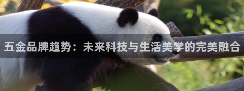 琳琅娱乐平台是真的吗