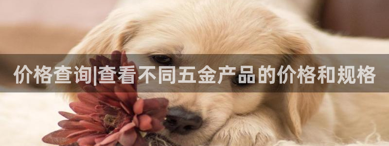 琳琅娱乐八卦
