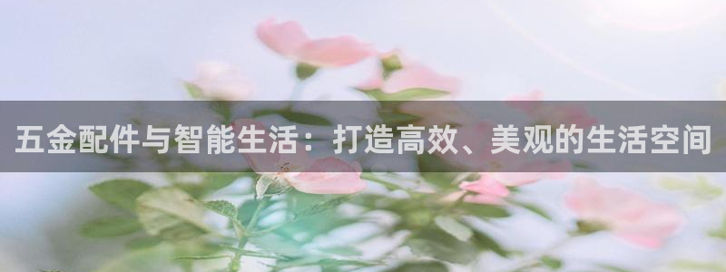 琳琅娱乐工作室