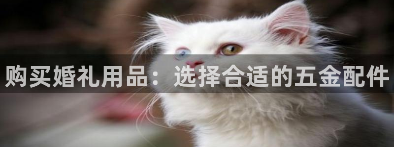 琳琅娱乐工作室怎么样啊
