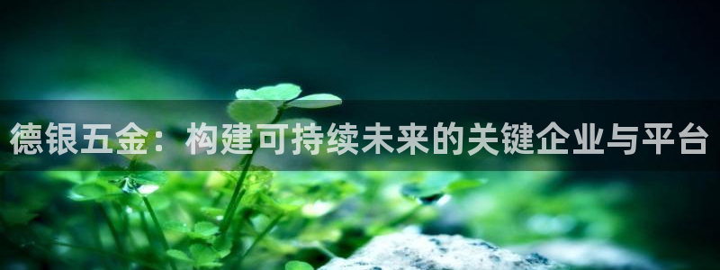 琳琅娱乐