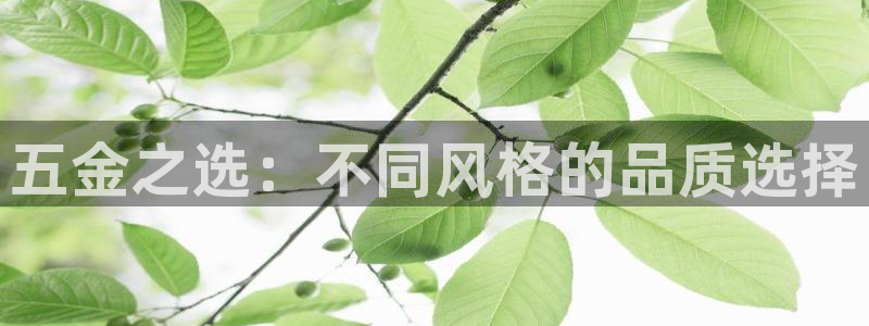 琳琅科技qq娱乐机器人