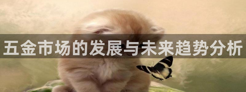 琳琅娱乐琳琅平台