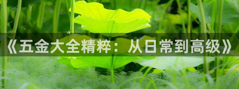 琳琅娱乐琳琅平台