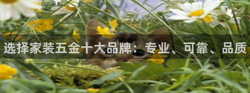 琳琅天上qq飞车娱乐