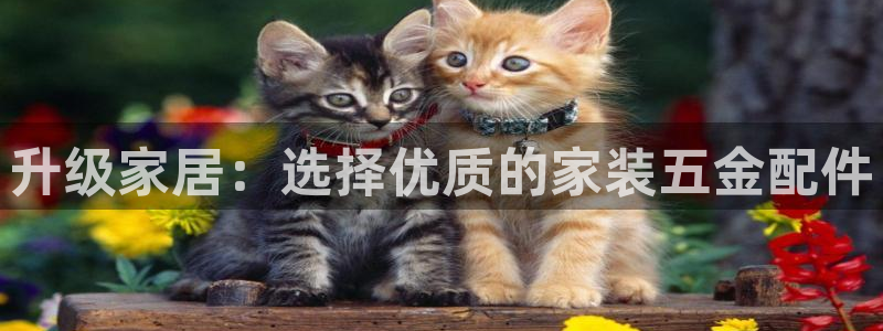 琳琅娱乐是什么