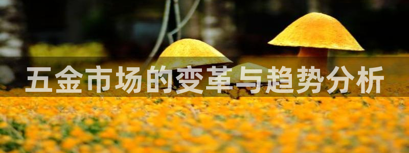 琳琅娱乐免费线上观看