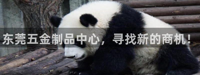 孝感琳琅娱乐会所