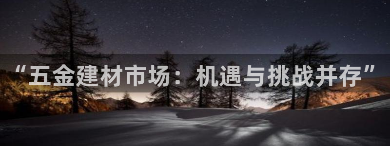 琳琅娱乐 全麦优质