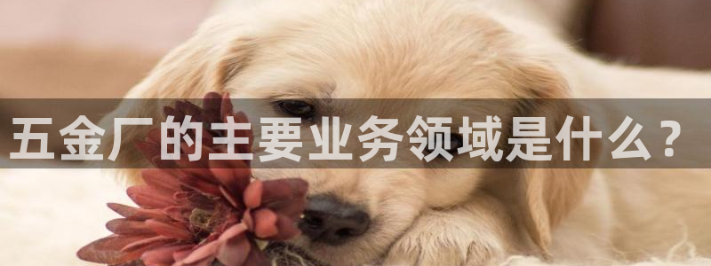 琳琅娱乐周7O777