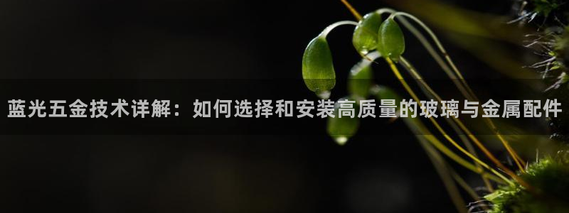 祖龙娱乐官网爱在琳琅