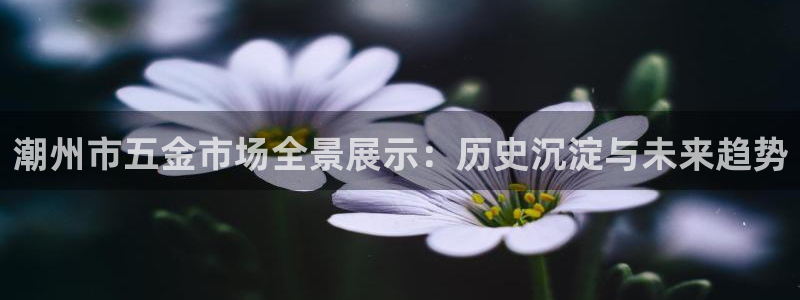 孝感琳琅娱乐会所