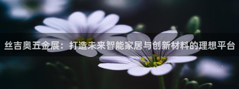 琳琅科技娱乐机器人教程