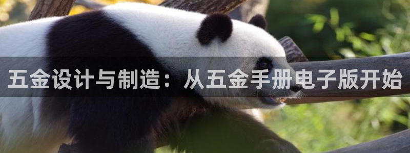 琳琅科技娱乐机器人插件