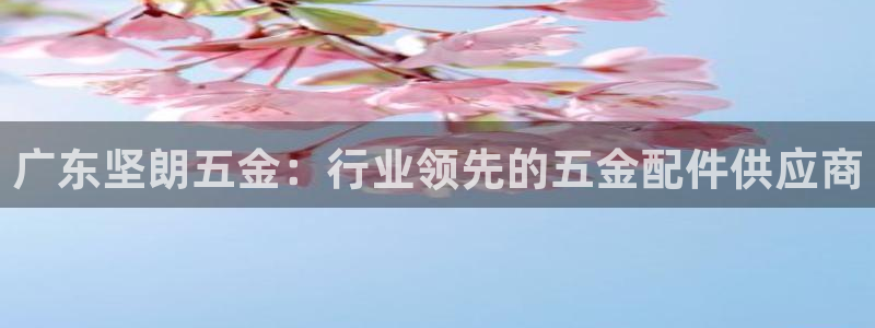 琳琅社区综艺文化娱乐