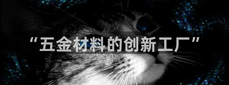 娱乐从琳琅榜开始笔趣阁