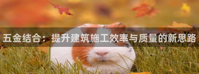 琳琅娱乐工作室地址查询