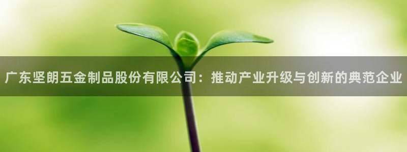 琳琅娱乐琳琅平台